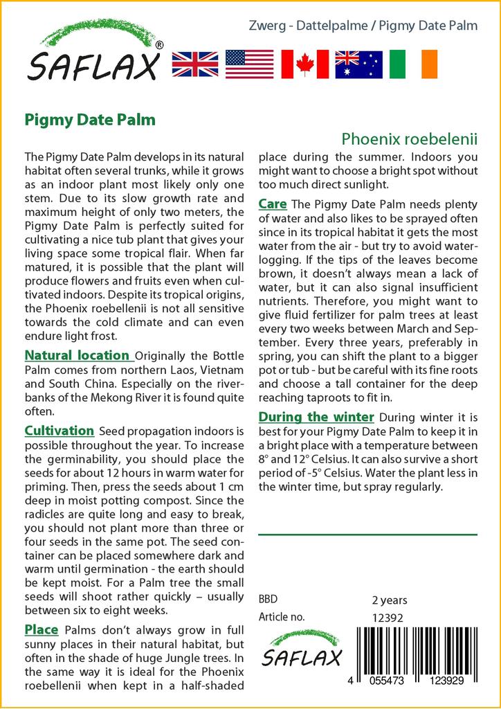 SAFLAX Финиковая пальма пигмейская - 25 семян - Phoenix roebelenii