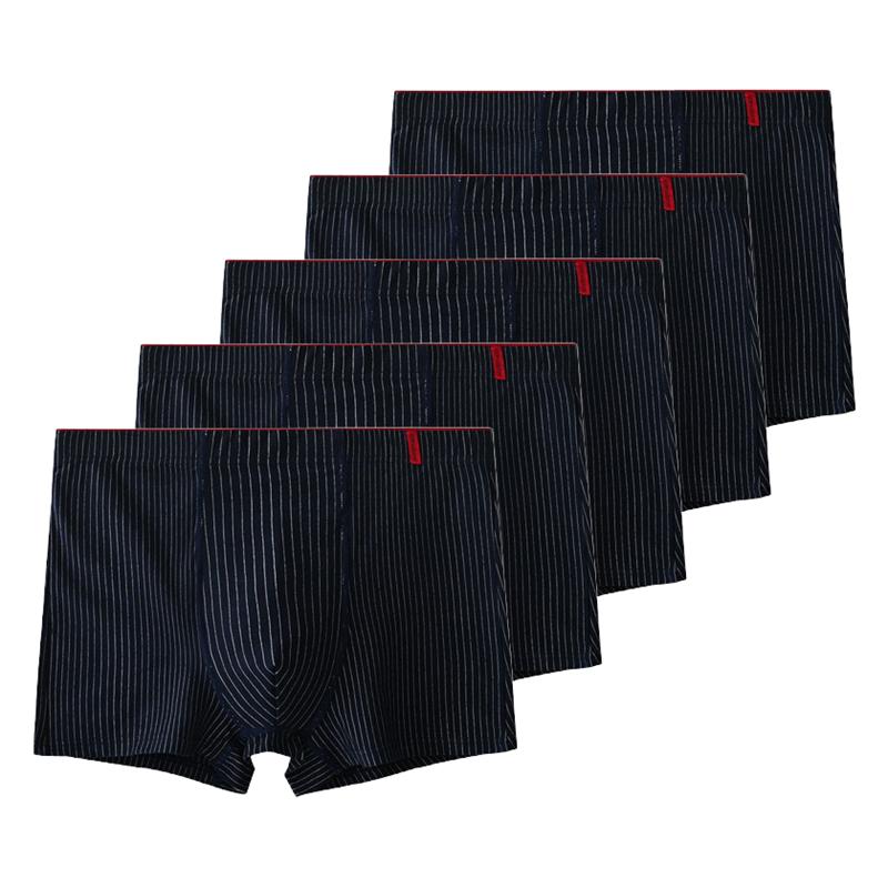 5 штук мужских боксеров хлопковое нижнее белье антибактериальные трусы мужские трусы XL XXL 3XL 4XL 5XL