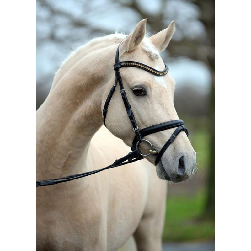 Diy Лошадь 5D алмазная живопись полная круглая дрель вышивка крестиком горный хрусталь животное живописная Алмазная вышивка мозаика домашний декор