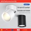 Foldable Full Spectrum LED Surface-Mounted Downlight for Living Room and Porch