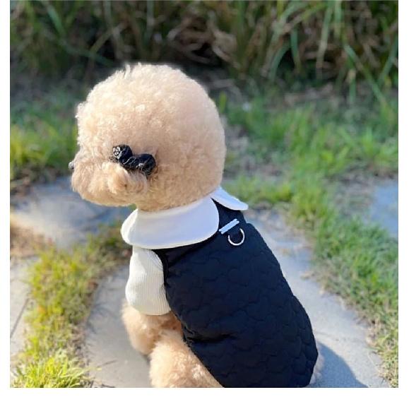Maltese Cotton Coat Skirt Winter Pet Couple Outfit Warm Dog Clothes for Teddy Dogs Pretty Princess Dress Dog Stuff