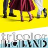 CD TRICOLOR трехцветный BIGBAND PCD27037 PVINE 2018 Япония Оби Японский Поп-Рок