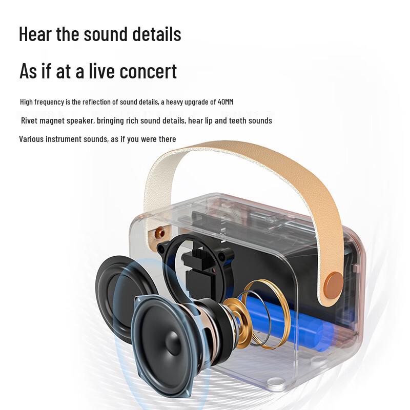 Wanwu S11K Retro HIFI Wireless Karaoke Speaker