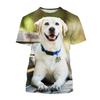 New Men's Funny Casual Dog 3D Short-sleeved T Shirt Harajuku Style Pet Print Top Cute Animal Labrador Retriever T Shirt