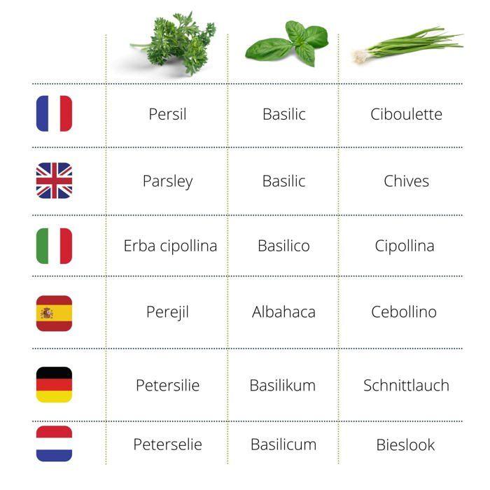 Kit Herbes Aromatiques Intérieur Bio – Basilic, Persil, Ciboulette – Mini Potager Intérieur avec Bocaux en Verre – Idée Cadeau