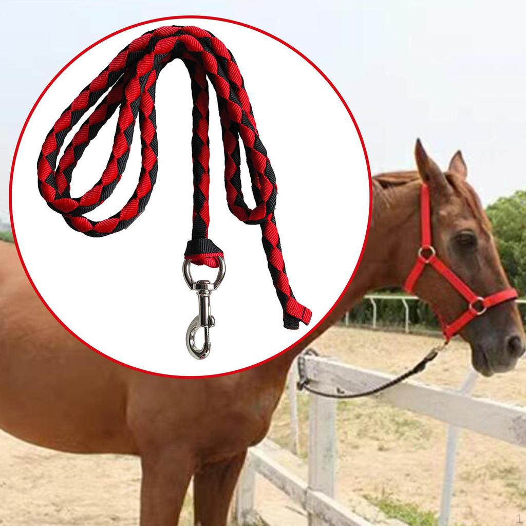 Horse Lead Rope Braided Attaches To Halter or Harness Leads Cord with Bolt Snap