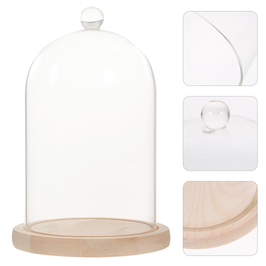 Декор для столешницы Сухоцветы Стеклянная крышка Ваза Прозрачные украшения Деревянные консервированные