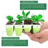 Yousheng Seeds Starter Tray Box 12 ячеек, горшок для рассады, многоразовый горшок с регулируемой вентиляцией и влажностью, посадочный горшок для прорастания рассады