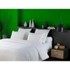 Oreiller Anti-Acariens - DODO - 50 x 70 cm - 100% Polyester - Blanc