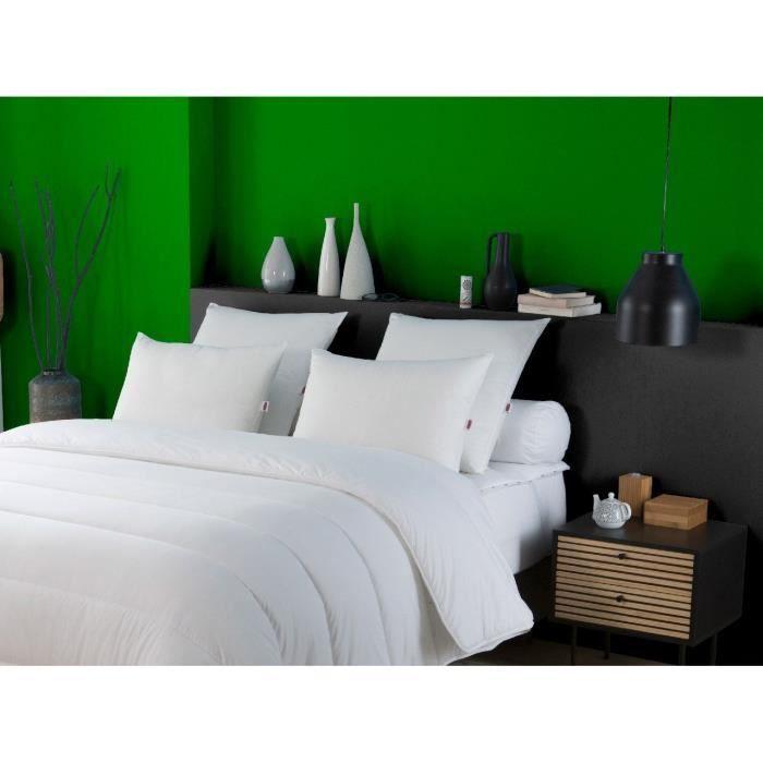 Oreiller Anti-Acariens - DODO - 50 x 70 cm - 100% Polyester - Blanc