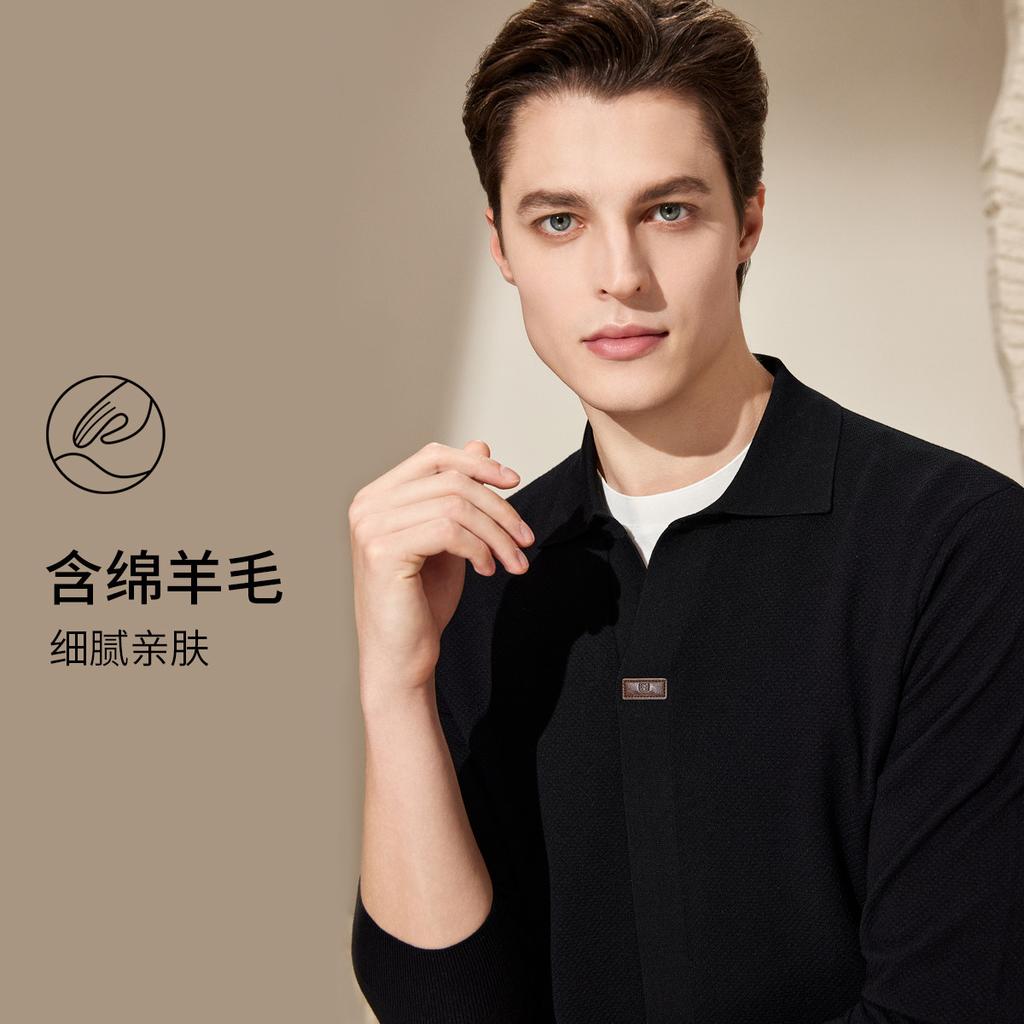 [Minimalist, Light Luxury, New Skin Feeling] Autumn Knitted Sweater with Cotton and Wool, Men's Versatile Casual T-shirt Base Shirt