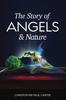 Книга The Story of Angels and Nature