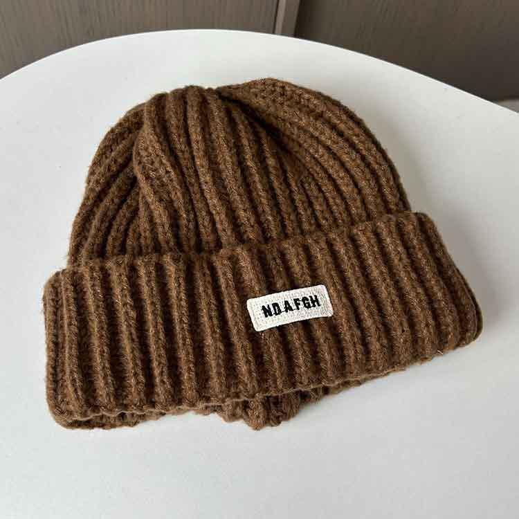 Autumn and winter cloth label ins candy-colored knitted hat children's versatile thickened warm and cold ear protective wool hat