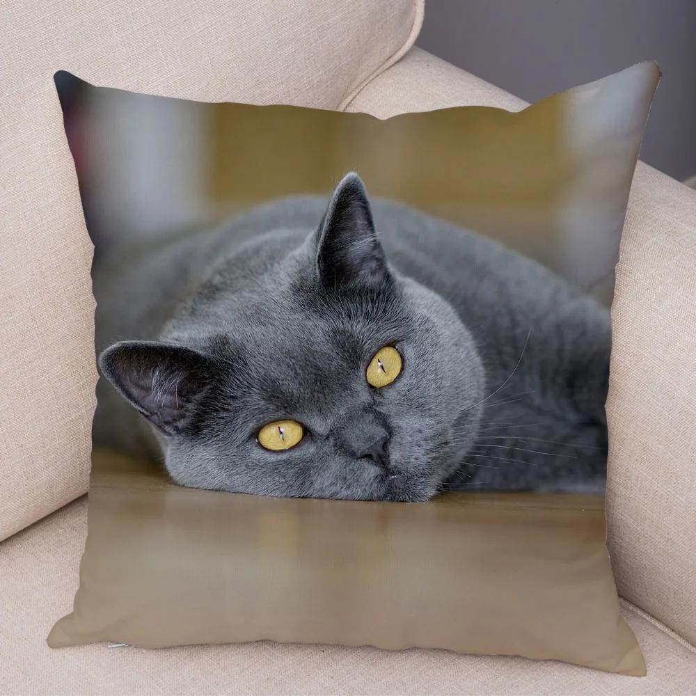 Русская голубая Британская короткошерстная Наволочка Декор Милый кот Домашнее животное Животное Наволочка Мягкий плюшевый Чехол для подушки для машины Дивана Дома