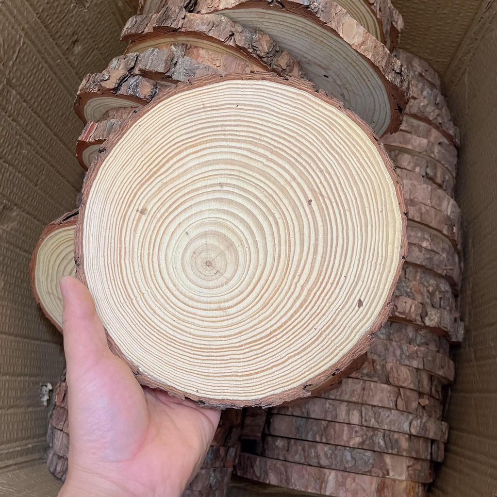 Деревянные срезы для поделок и декора детского сада, расписанные вручную – Маленькие кусочки натурального дерева с годичными кольцами