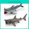 Модель морского животного акулы для детей, образовательная ПВХ игрушка для демонстрации