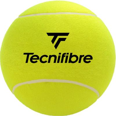 Теннисные аксессуары Tecnifibre Мяч-гигант Мяч с автографом МЯЧ-ГИГАНТ TFAA029