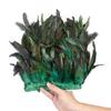 1 Meter Fluffy Natural Rooster Feather Trim Fringe Wedding Decoration Carnival Accessory Sewing Feather Ribbon 15-20 CM