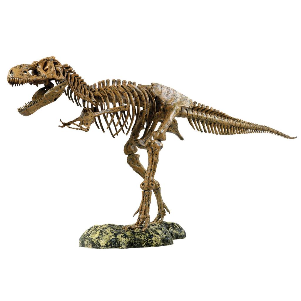 EDU-TOYS 51-Piece Dinosaur Craft Kit, Tyrannosaurus Rex VT026