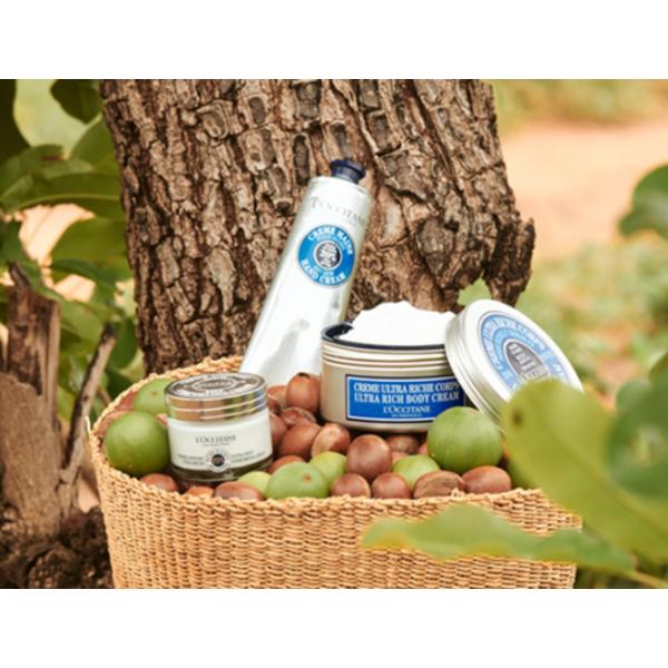 L'OCCITANE Крем для рук с маслом ши + набор-бальзам для губ-стик Duo, 1 комплект