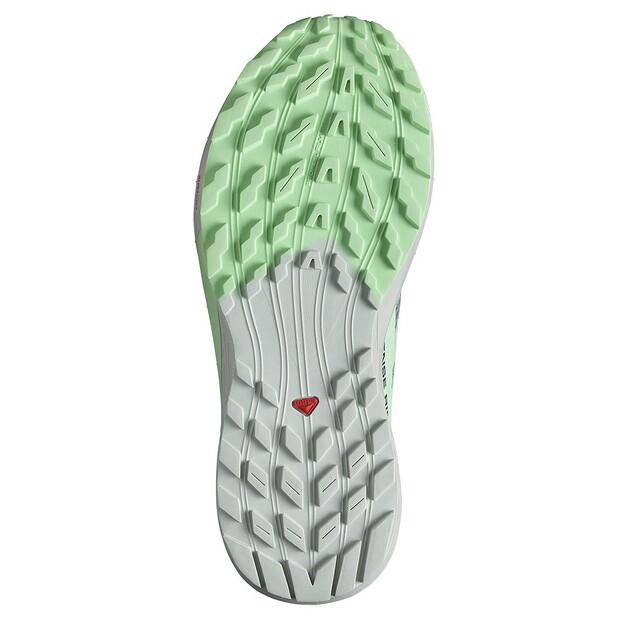 SALOMON Sense Ride 5 кроссовки трейловые