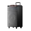 Портативная Bluetooth-колонка на колесиках Newmine N520, 12 дюймов, с двумя микрофонами, штекер CN (адаптер в комплекте) (Китайская версия)