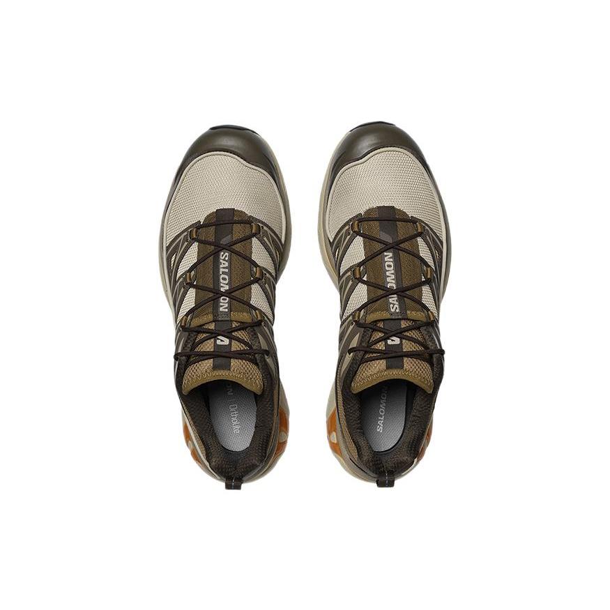 SALOMON XT-6 Expanse 'Пепельно-серый Золотой дуб' 417416