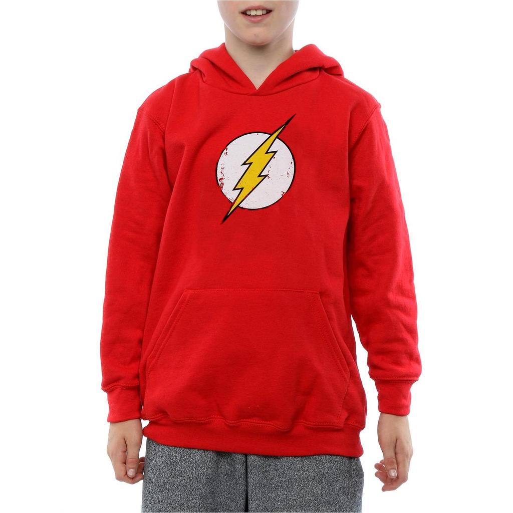 DC Comics Boys Flash Distressed Logo Hoodie