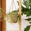 Подходит для подвесного кашпо для цветов для дворового сада, плетеной вручную корзины, держателя для цветов, горшка для растений, подвесов для растений, украшения дома