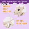 Halloween Dog Skeleton Ornament Realistic Plastic Animal Bone Figurine for Halloween Indoor Outdoor Decor Party Favors