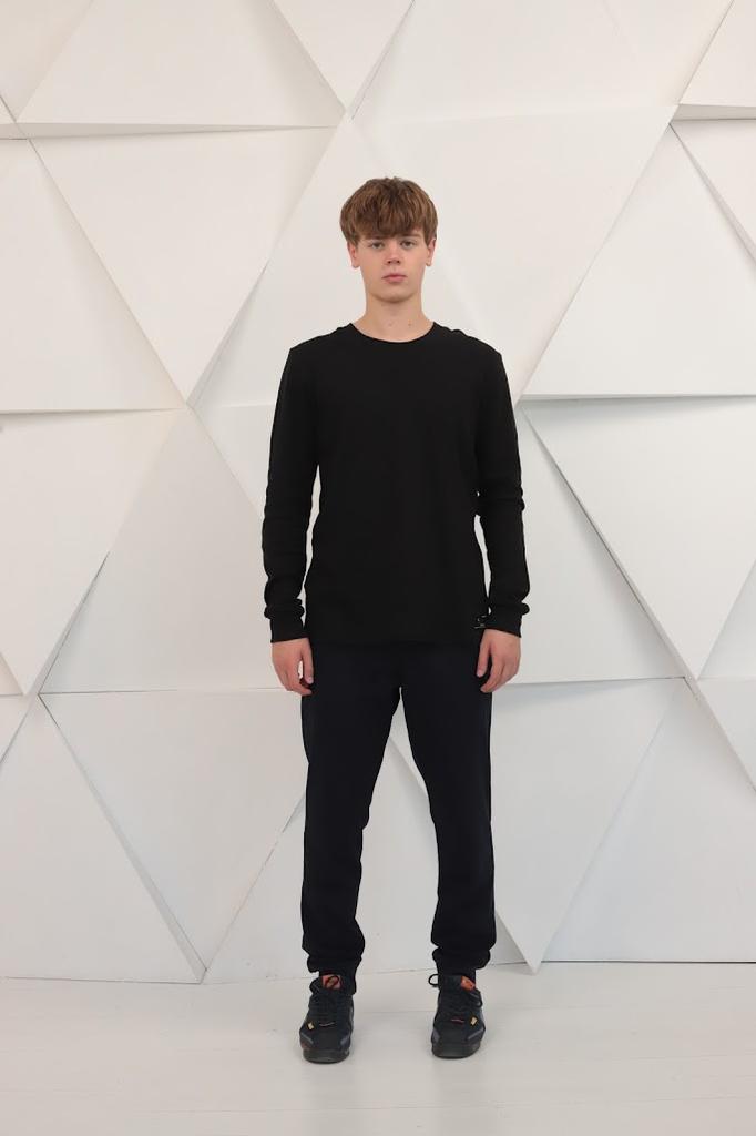 Пуловер (Мужской) Любой сезон 8631-015 HC