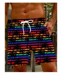 Men's beach shorts, gym shorts, 3D printing, graphic printing, breathable, soft shorts for vacation