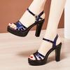 Модные летние женские сандалии Водонепроницаемая платформа 8/10 см Супер высокий каблук Сандалии с открытым носком Римская обувь Офисные туфли-лодочки Размер 32-43