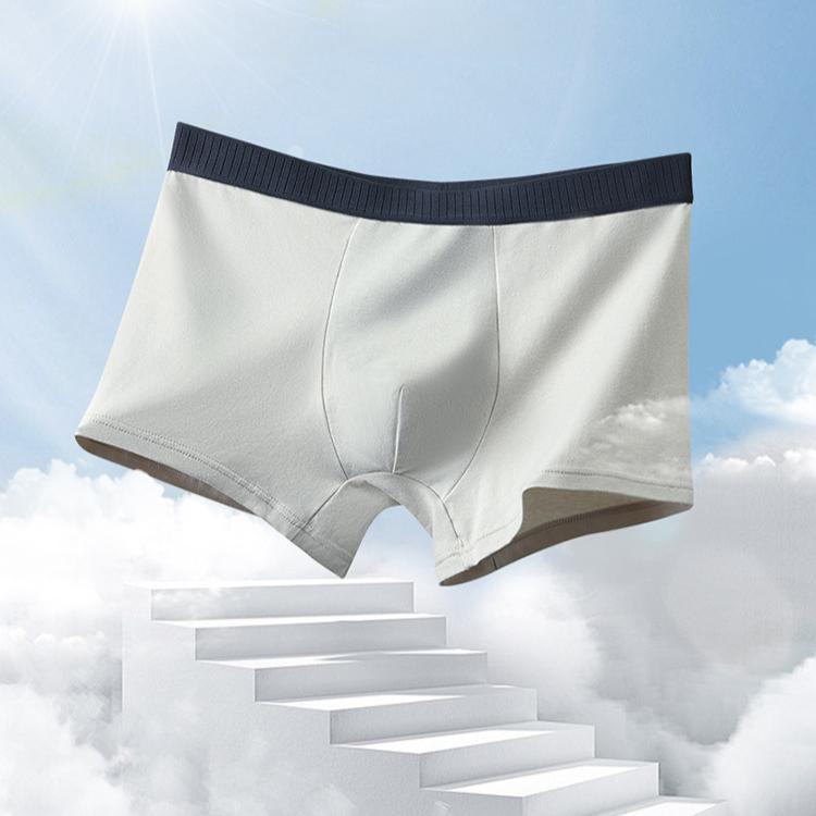 Мужское нижнее белье Мужское большого размера Плоский угол Антибактериальные Четырехугольные трусы Прохладные и эластичные Боксеры-брифы