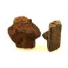 Stones and Minerals. Staurolite. (2 Pcs) 96.80 Ct. Kerzest, Coray, Finistère, France.