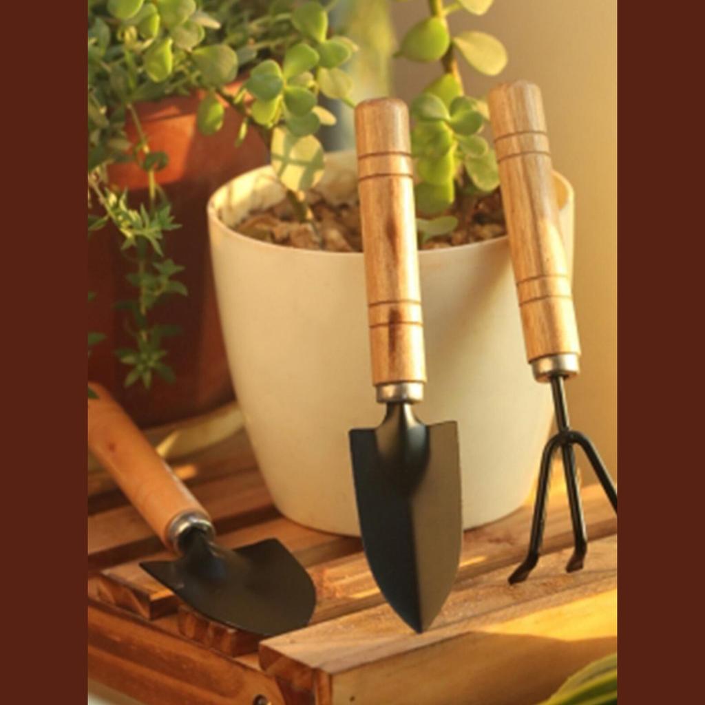 Набор садовых инструментов: Набор из 3 предметов для овощей, цветов и суккулентов - Включает маленький совок, грабли и лопатку.