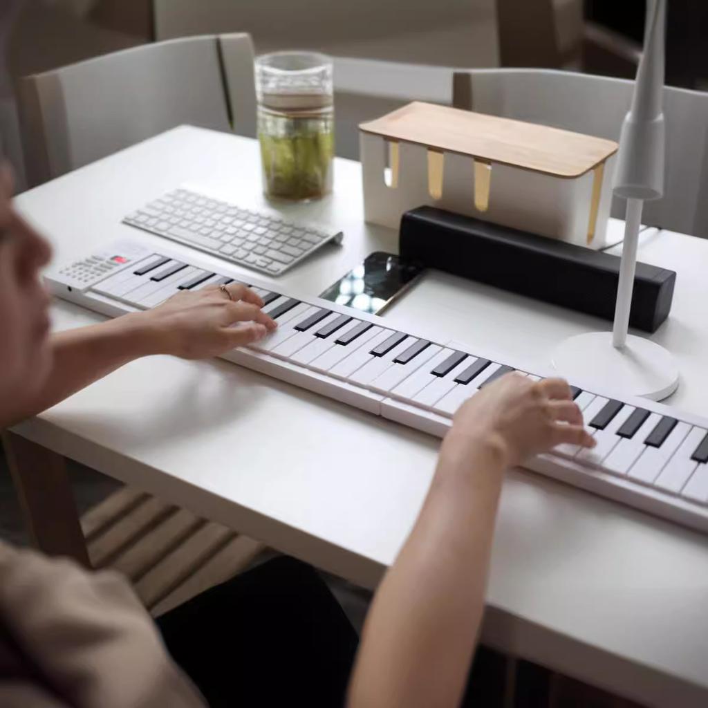 Miwayer 61 Keys Foldable Electronic Piano Keyboard for Beginners, Built-in Rechargeable Battery,25 Demo Songs,16Tones&100Rhythms