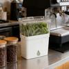 Large Capacity Fresh Herb Keeper Plastic Herb Lettuce Keeper Vanilla Bean Storage Box  Mint