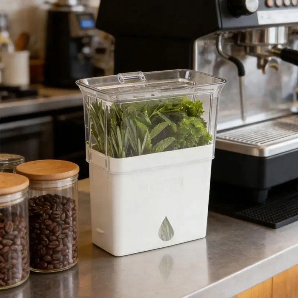 Large Capacity Fresh Herb Keeper Plastic Herb Lettuce Keeper Vanilla Bean Storage Box Mint