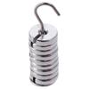 Chromium-Plated Metal Slotted Weights Total 100g with Hanger and Case Laboratory