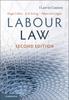 Книга Labour Law