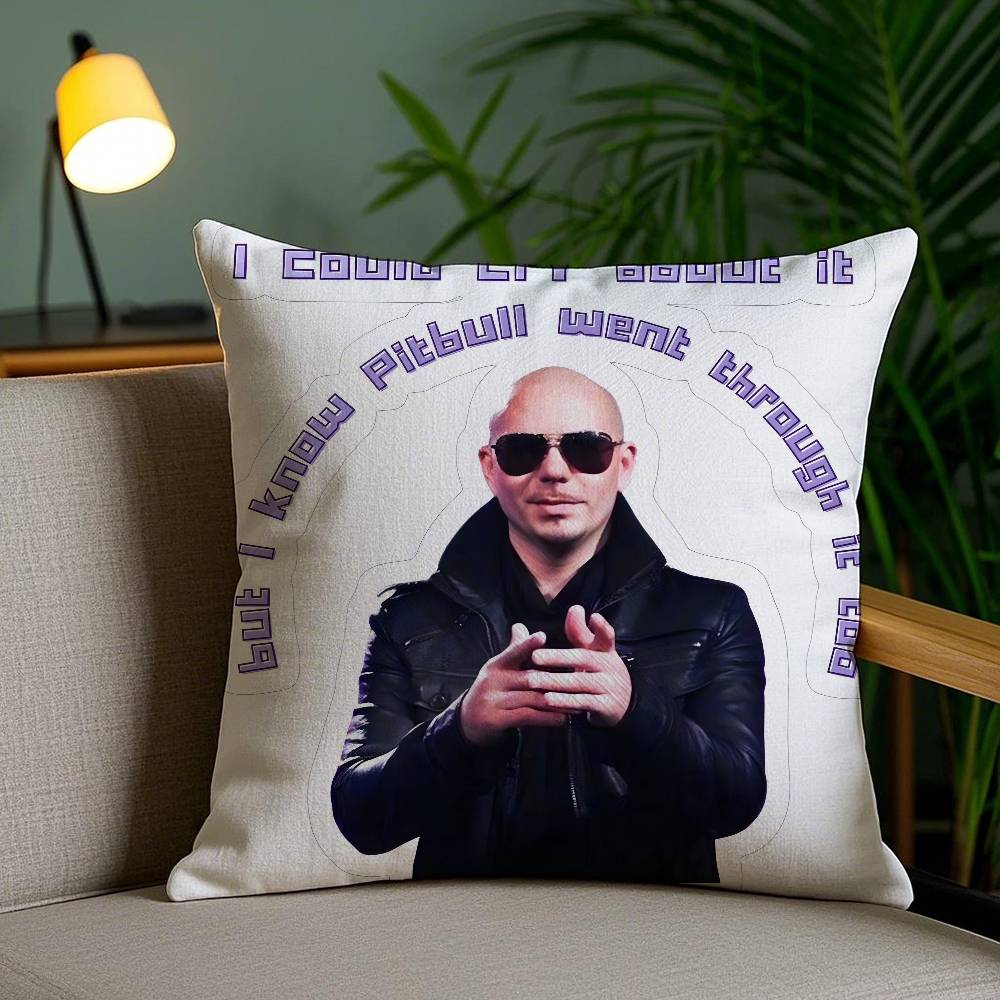 Mr Worldwide PPitbull Pillow Case Antidustmite Invisible zipper Sofa Bed