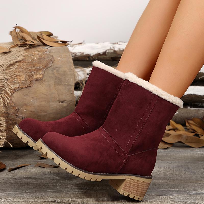 Faux Suede Thick Heels Snow Boots Women Winter Plus Size Short Plush Ankle Boots Woman  New Velvet Warm Short Booties Mujer