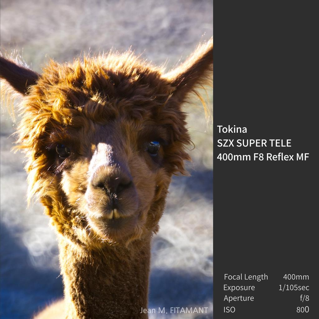 Tokina SZX Super Tele 400mm Reflex MF Telephoto Lens for Canon Manual Interchangeable Part Number 634739 F/8 (Imported Model) EF-M Mount, Focus,