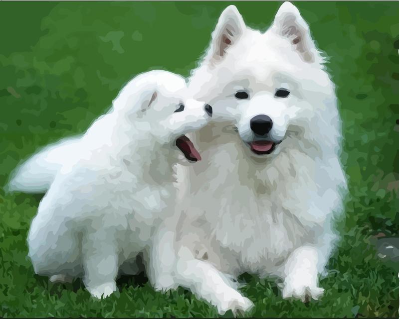 40x50 см живопись по номерам собака рисунок на холсте ручная роспись живопись искусство подарок DIY фотографии по номерам наборы животных домашний декор