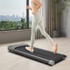 Folding Walking Pad Home Gym Machine Sports Smart Motor Electric Desk Treadmill