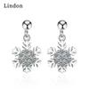 Lindon Women's Zircon Copper Alloy Earrings - Wedding Party Gift Pendant Earrings