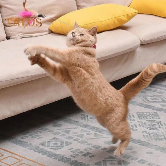 Интерактивная игрушка-ошейник для кошек, дразнящая палочка с разноцветными натуральными перьями и колокольчиком, регулируемый дизайн, самоиграющая игрушка, дразнящая палочка для кошек