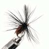 5/10/20/25Pcs/Box Black Fly Peacock Feather Wings Fly Fishing for Trout Bait Size #10 Flies Artificial Insect Bait Lure