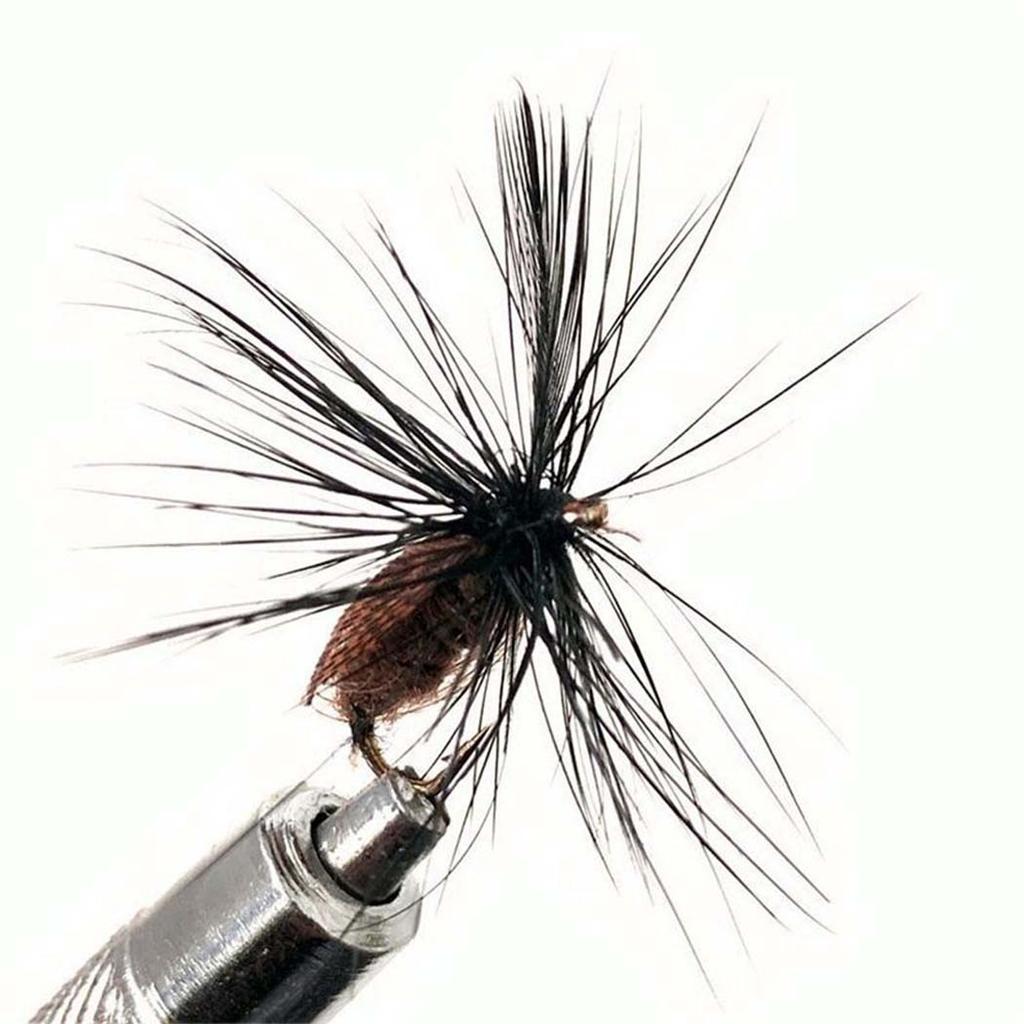 5/10/20/25Pcs/Box Black Fly Peacock Feather Wings Fly Fishing for Trout Bait Size #10 Flies Artificial Insect Bait Lure